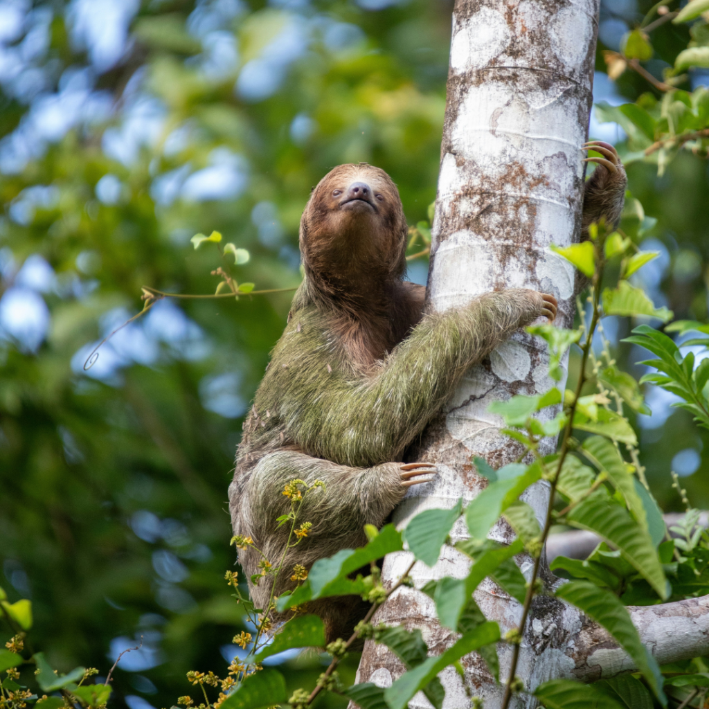 Rune – vier jaar (niet)&nbsp;gewerkt