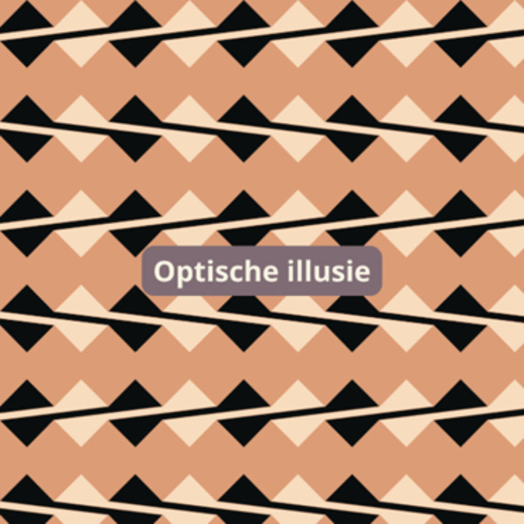 Els – Visuele illusies en&nbsp;eetstoornissen